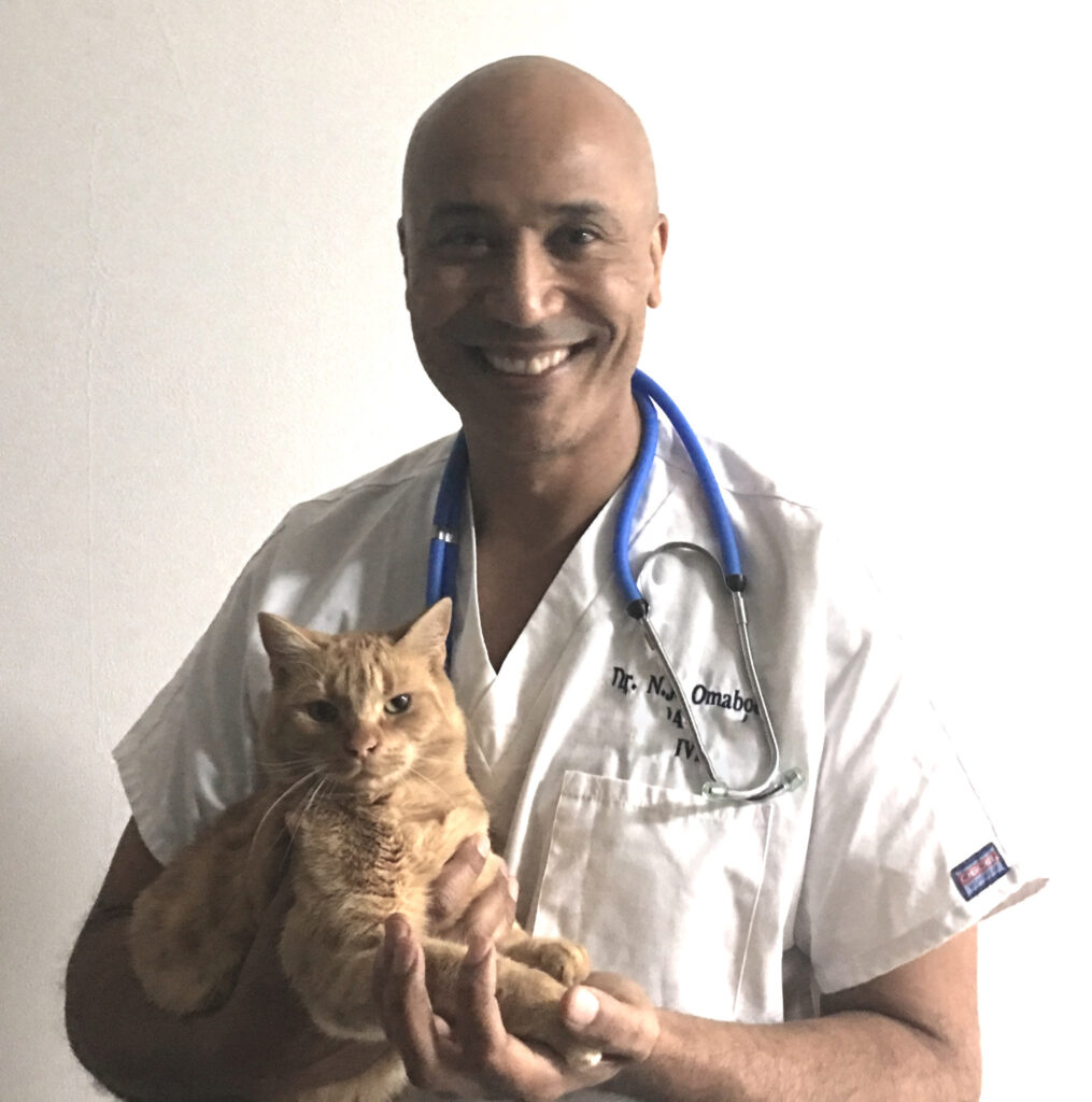 Dr. Omaboe vétérinaire vers Crans-prés-céligny