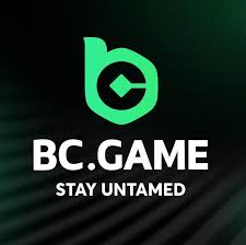 The Ultimate Guide to BC.Game App Revolutionizing Online Gaming