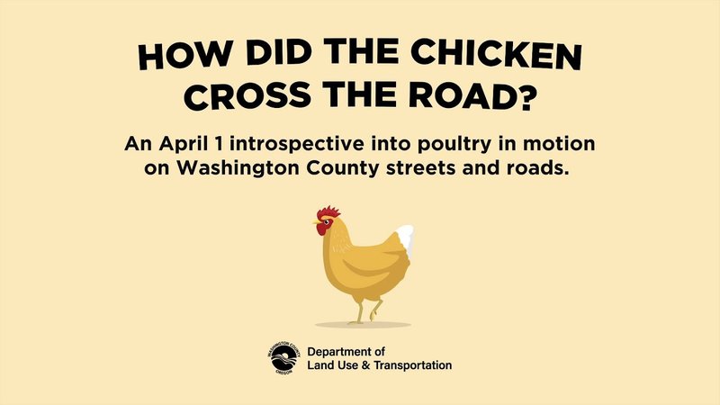 Best chicken road inout in Spain